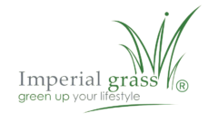 Imperial Grass